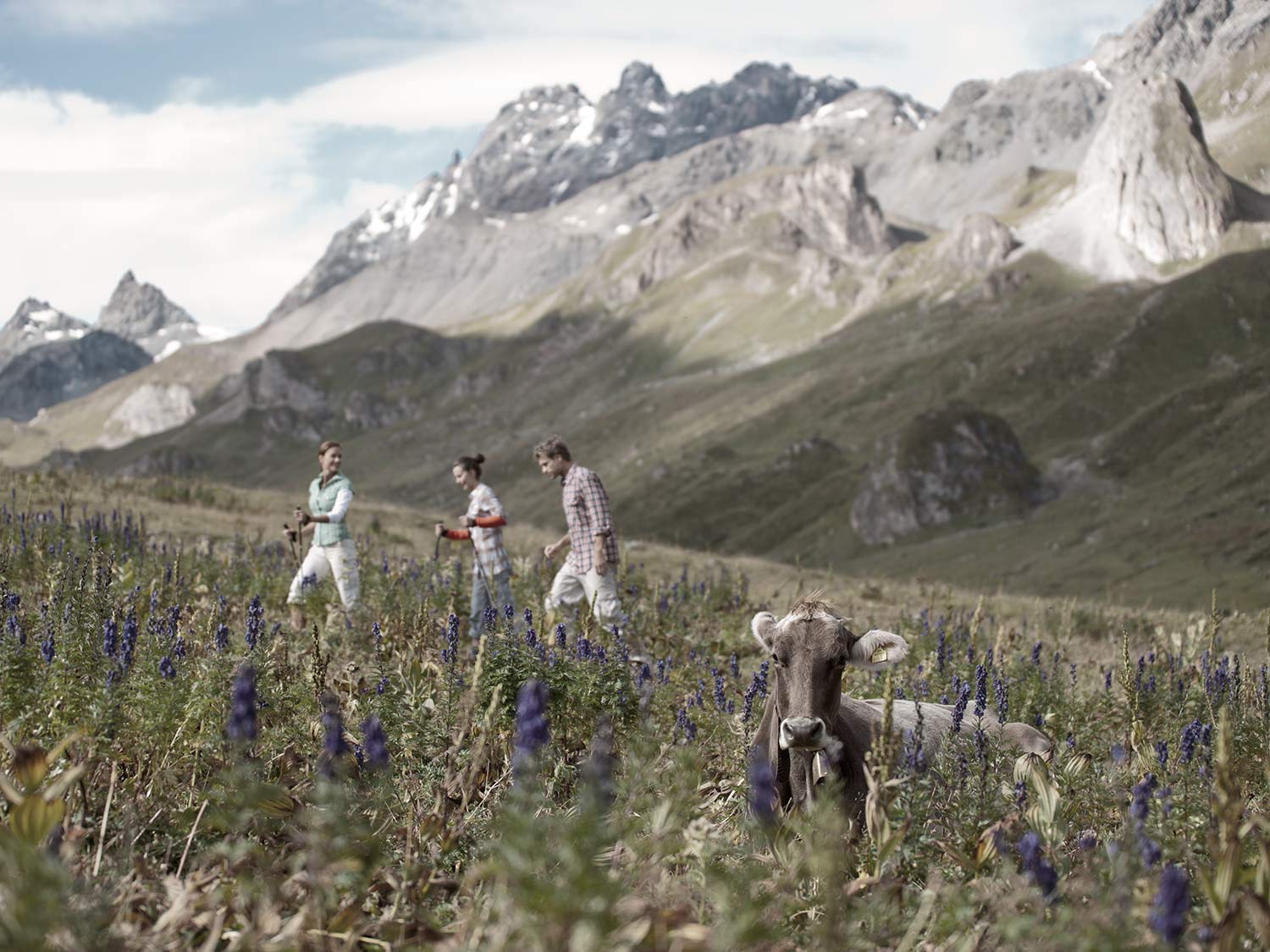 Wanderrouten in Ischgl